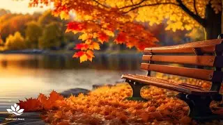 疗愈放松音乐🍂秋日氛围，助您内心平静，抚平压力