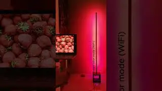 LightStick Build  #diy #walllights #rgb #timelapse #lights #leds