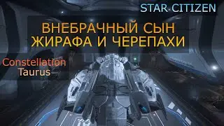 Constellation Taurus - ДЛЯ ЧЕГО ОНО, И ДЛЯ КОГО В STAR CITIZEN?