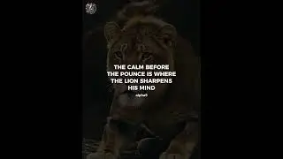 The Calm Before the Pounce 🦁 | Lion Tattoo Motivation #motivation #shorts