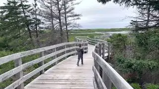 Greenwich Dunes Trail Floating Boardwalk PEI