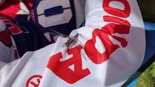 DRAGON FLY MASCOT @ KAPLAN AMERICA HONDA CR500R GUNSTOCK HILL CLIMB LACONIA 100TH ANNIVERSARY 2023