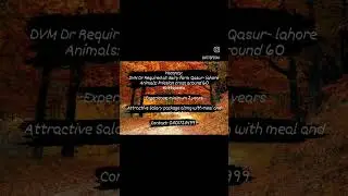 #DVM Dr Required at #dairy farm Qasur- #Lahore #Vetspedia #jobs #vets  #youtubeshorts