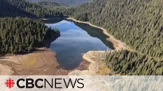 Drought on B.C.'s Sunshine Coast prompts state of emergency