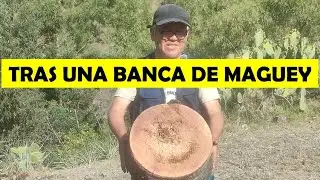 RECUPERANDO LOS SABERES ANCESTRALES / BANCA DE MAGUEY
