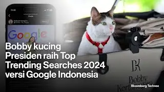 Bobby kucing Presiden raih Top Trending Searches 2024 versi Google Indonesia
