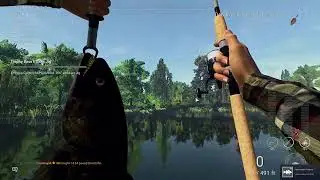 Fishing Planet - Mudwater Monster Dendrofin Mission!!!