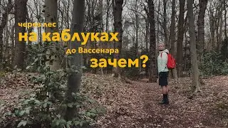 Пешком через все Нидерланды: дойти до Вассенара на каблуках | день 5