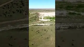 1000 YD Target Camera - Longshot Cameras