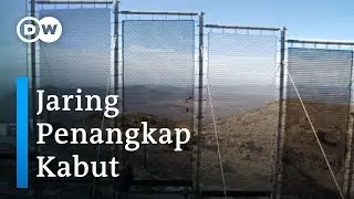 Menyulap Kabut Jadi Air