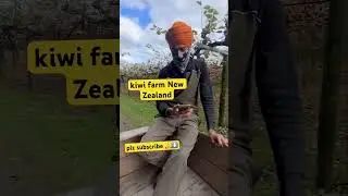 kiwi farm work New Zealand open