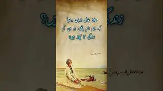 Maulana Rumi Life changing Quotes in Urdu || Wisdom Of the 100 Year Old || Parwaana Quotes