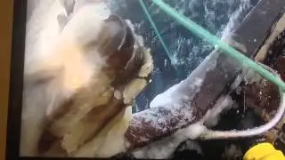 Pot fishing Alaska