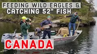 Canadian Adventure at Pine Beach Lodge | Eagle Lake in Ontario 🍁