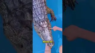 Fais &ccedil;a pour &eacute;chapper &agrave; la morsure mortelle d&rsquo;un crocodile 😨
