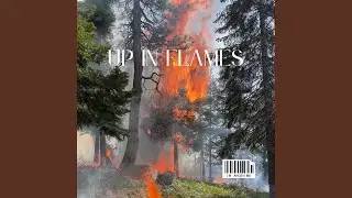 Up in flames.