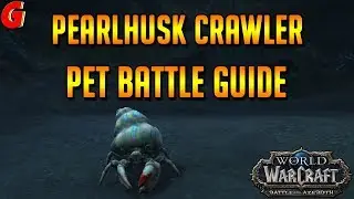 Pearhusk Crawler Pet Battle Guide - BFA