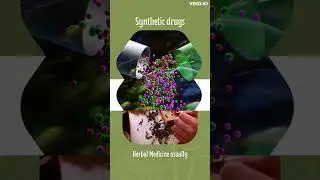 The Healing Power of Herbs vs Synthetic Drugs: Part 2