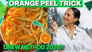 ORANGE PEEL TRICK FOR WEIGHT LOSS ( EASY RECIPE ) ORANGE PEEL TRICK RECIPE &ndash; ORANGE PEEL TRICK