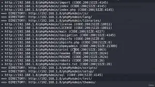 Information Gathering & Dirb Tool🕵🏼Website Application Penetration Testing 13.3