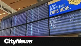 Calgary travellers affected by U.S. government shutdown