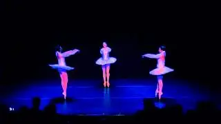 Shades Pas de Trois (La Bayadere) -- Art in Motion