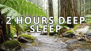 Deep Sleep Music with Piano and Rain Sounds (2 Hours)