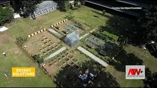 Bright Solutions: Urban farming landscape