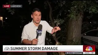 Downed trees, power outages reported after storms tear through Chicago area