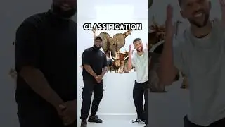 GCSE Biology - Classification