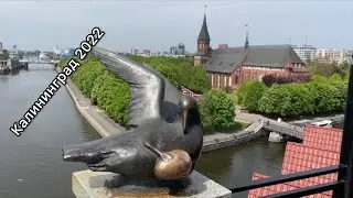 Калининград 2022/K&ouml;nigsberg
