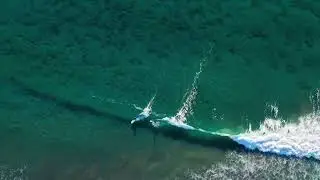 Passion for ocean: Surf