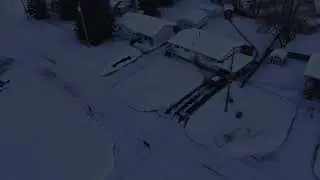 Christmas day deer's