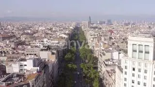 Grand Via in Barcelona a Treelined Street in the Bustling Gothic City | Stock Footage - Envato e...