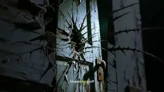 Locked Door, Locked Secret... Until We Checked Underneath #scarystories #haunted #terrifying