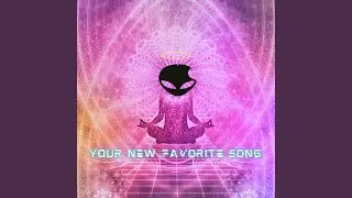 Your New Favorite Song