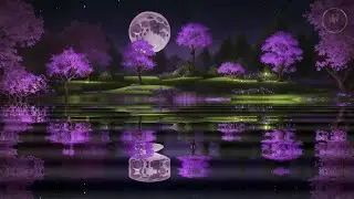 Magical Night 💜 Dreamy Sleep Music | Soothing Lullabies for Peaceful Deep Sleeping 🌙 | BD Relaxing
