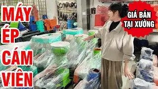 🔥 Top Máy Ép Cám Viên 2026 Bạn Không Nên Bỏ Lỡ! Giải Đáp Mọi Thắc Mắc