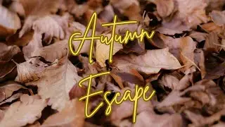 Autumn Escape - ASMR - Sleep to windy weather in your living room - Theraputic