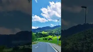 جاده های زیبای سوئیس: سفری از طبیعت تا شهر با مناظر خیره کننده#shorts #travel #طبیعت #سفر #سوئیس