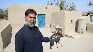 Sindh Village Style Desi Mourg Handi Recipe / Mud Hous / Desi Chicken Handi Recipe By Bubarik Ali
