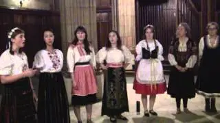 Moi Dilbere/Mujo Kuje