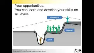 Opportunities at the International Level