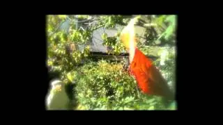 L'invisible (Lou Boland - Luc Boland)