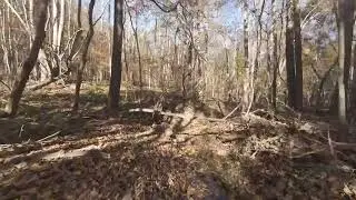 52.3 Acres For Sale in Warren County, North Carolina