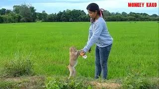 Smart Monkey Kako request Mom Drink Water And Eat Apple Fruit