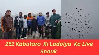 Live 251-251 Kabutaro Ki Ladaiya || A S Pet world ||
