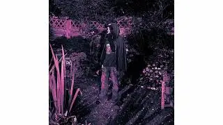 ginseng + misogi + bennyluv type beat 