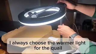 Unboxing Light for Quail Aviary