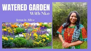Jesus is Alive | Watered Garden
